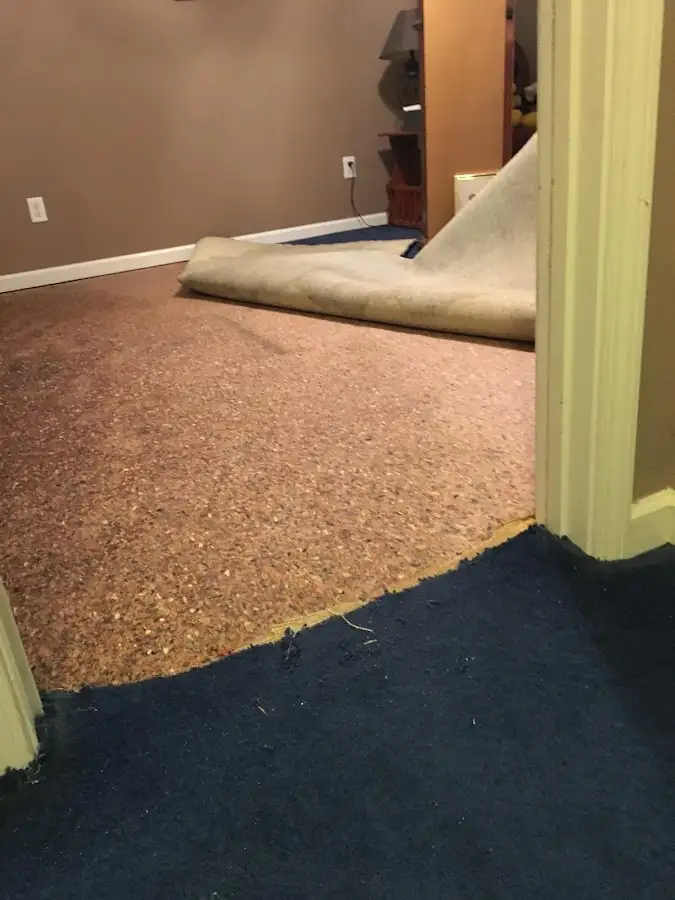 Carpet pad removal revealing water damage during Drying & Dehumidification in Coolbaugh